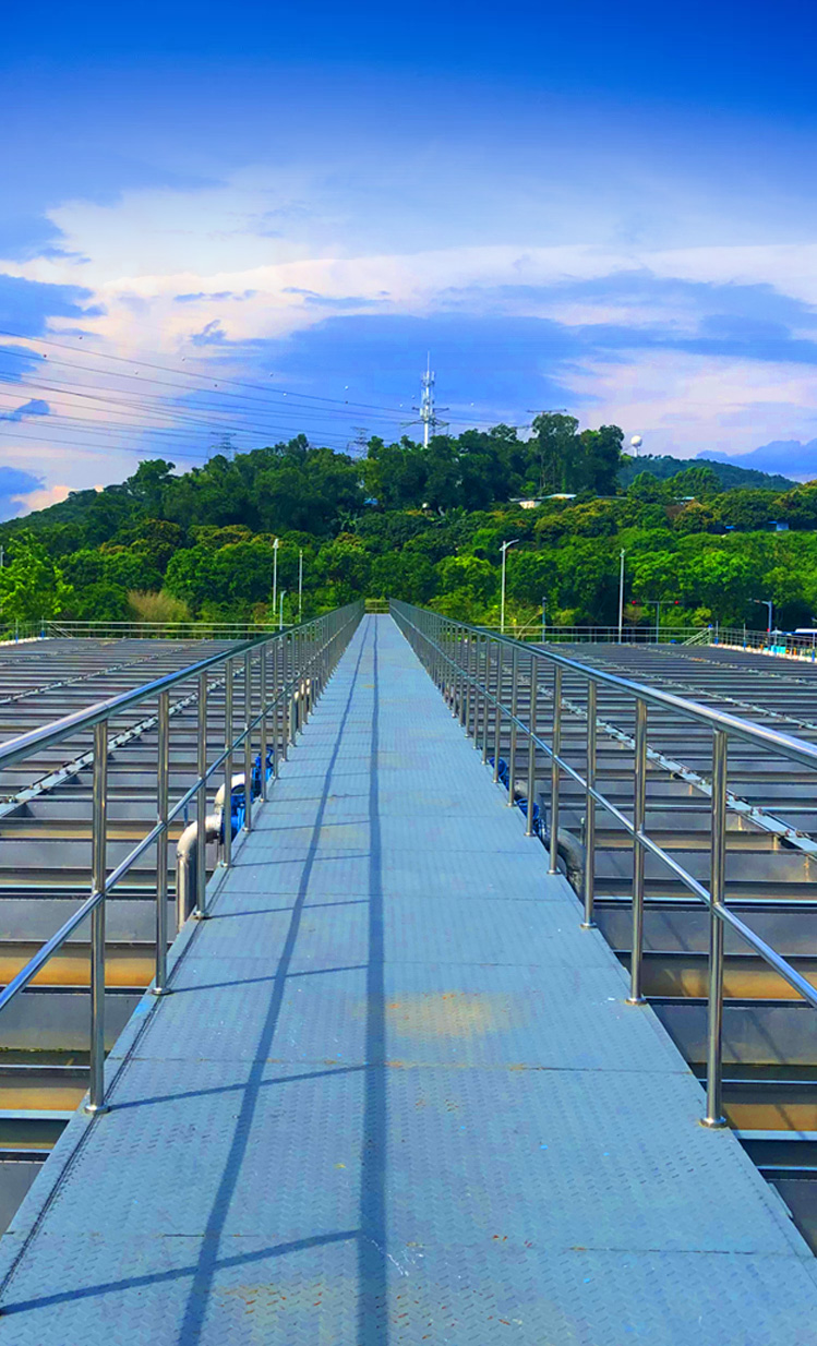 Ȩ�Ź��ʹ���-�����ɾͷǷ�,����Ʒ�Ƶ�����