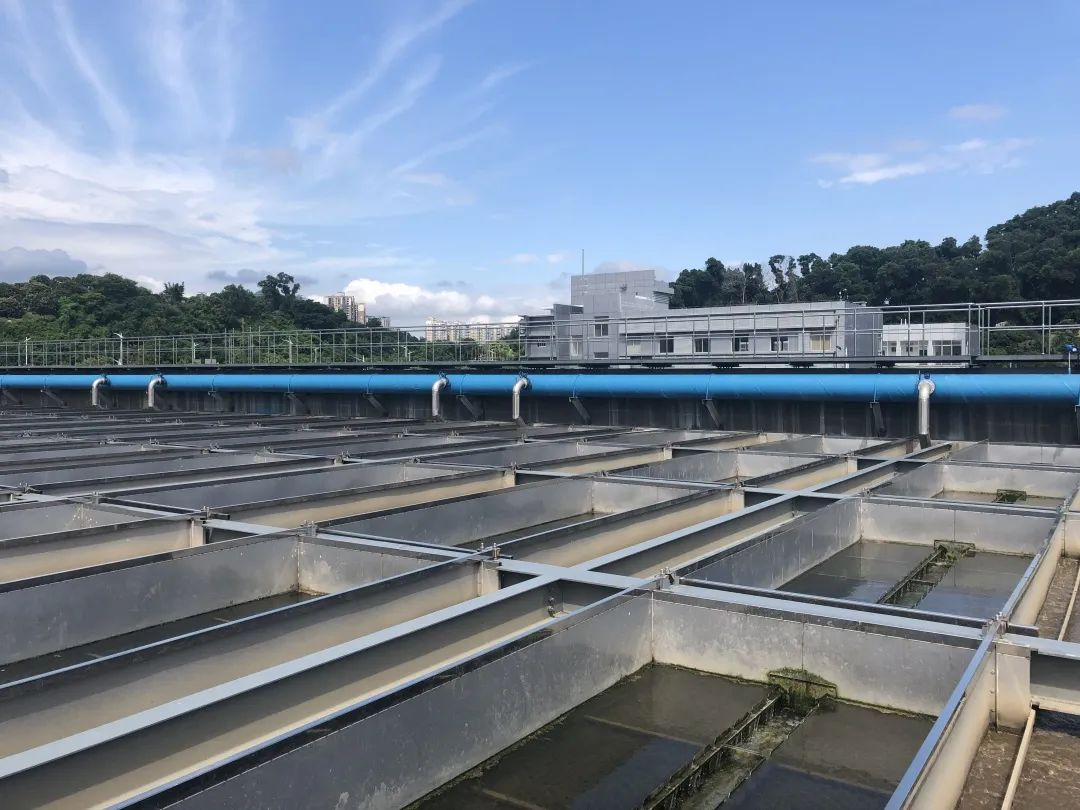 Ȩ�Ź��ʹ���-�����ɾͷǷ�,����Ʒ�Ƶ�����