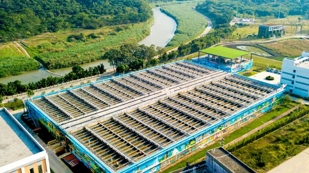 Ȩ�Ź��ʹ���-�����ɾͷǷ�,����Ʒ�Ƶ�����