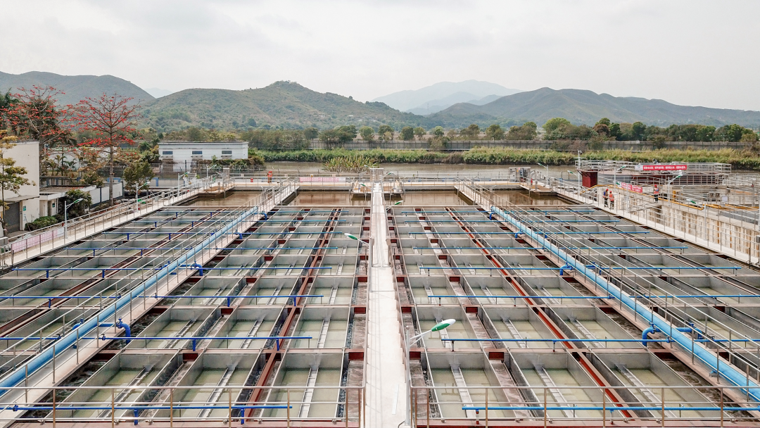 Ȩ�Ź��ʹ���-�����ɾͷǷ�,����Ʒ�Ƶ�����