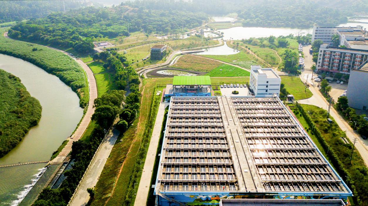 Ȩ�Ź��ʹ���-�����ɾͷǷ�,����Ʒ�Ƶ�����