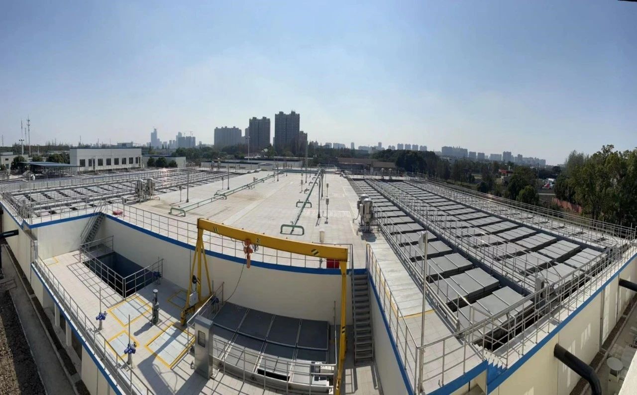 20250512172121349 ȨÃŹú¼Ê¹ÙÍø-²»·²³É¾Í·Ç·²,ÏàÐÅÆ·ÅƵÄÁ¦Á¿