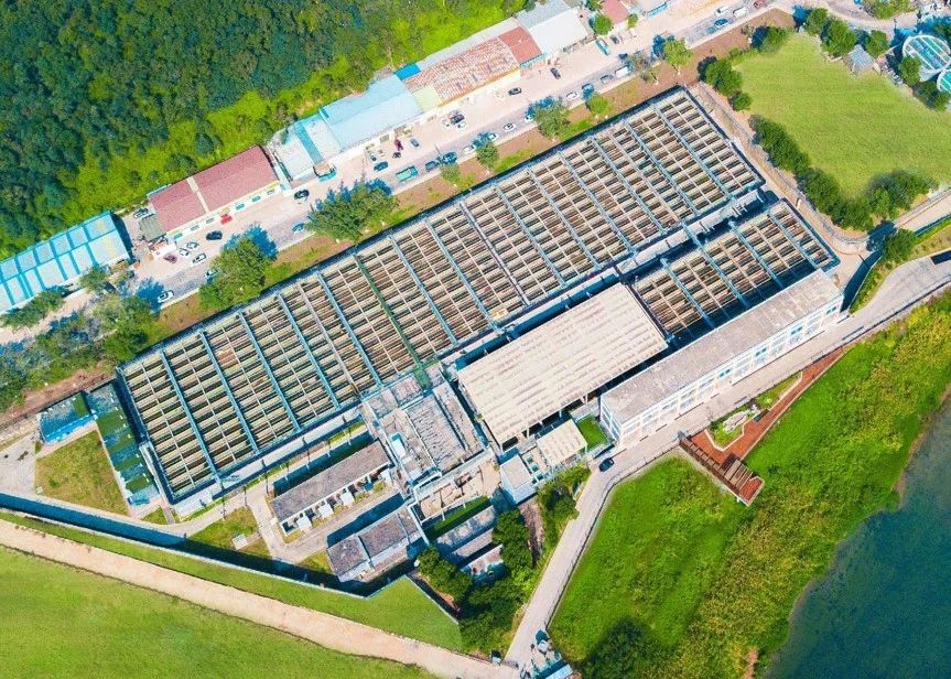 20250512172233156 ȨÃŹú¼Ê¹ÙÍø-²»·²³É¾Í·Ç·²,ÏàÐÅÆ·ÅƵÄÁ¦Á¿