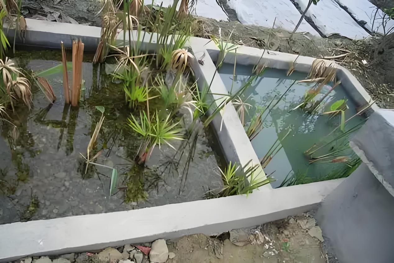 Ȩ�Ź��ʹ���-�����ɾͷǷ�,����Ʒ�Ƶ�����