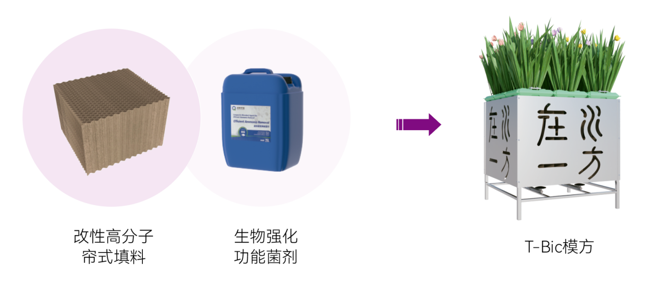 2025091110159222 权门国际官网-不凡成就非凡,相信品牌的力量