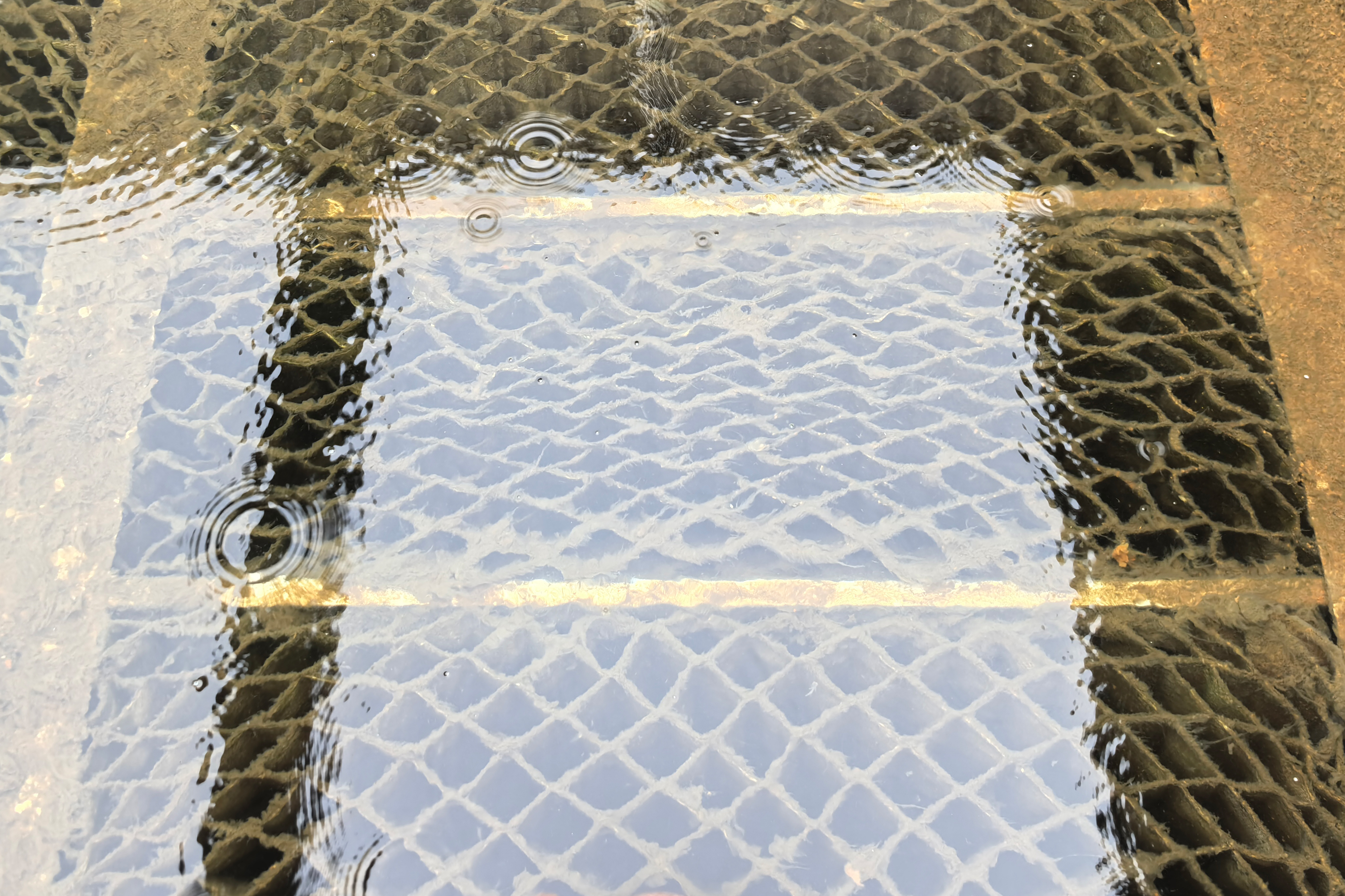 2025091110550019 权门国际官网-不凡成就非凡,相信品牌的力量